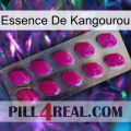 Kangaroo Essence 09
